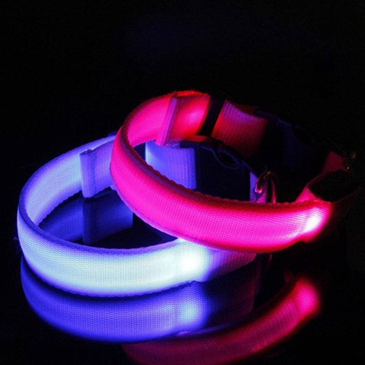 Glow-In-The - Dark LED Collar For Small Medium Pets