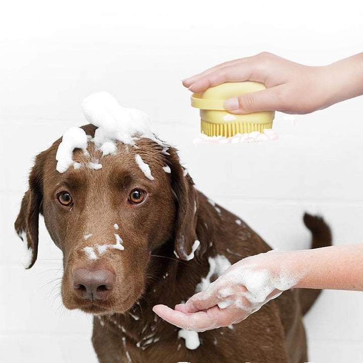 Pet Massage Brush.