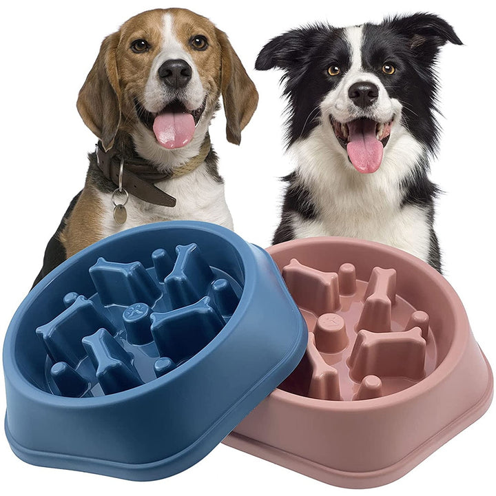 SLOW FEEDER PET BOWL