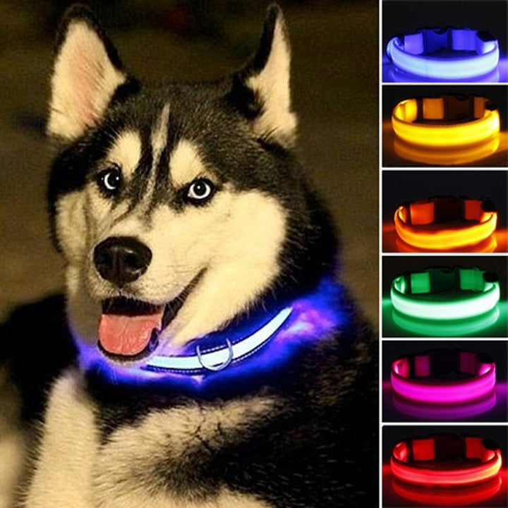 Glow-In-The - Dark LED Collar For Small Medium Pets